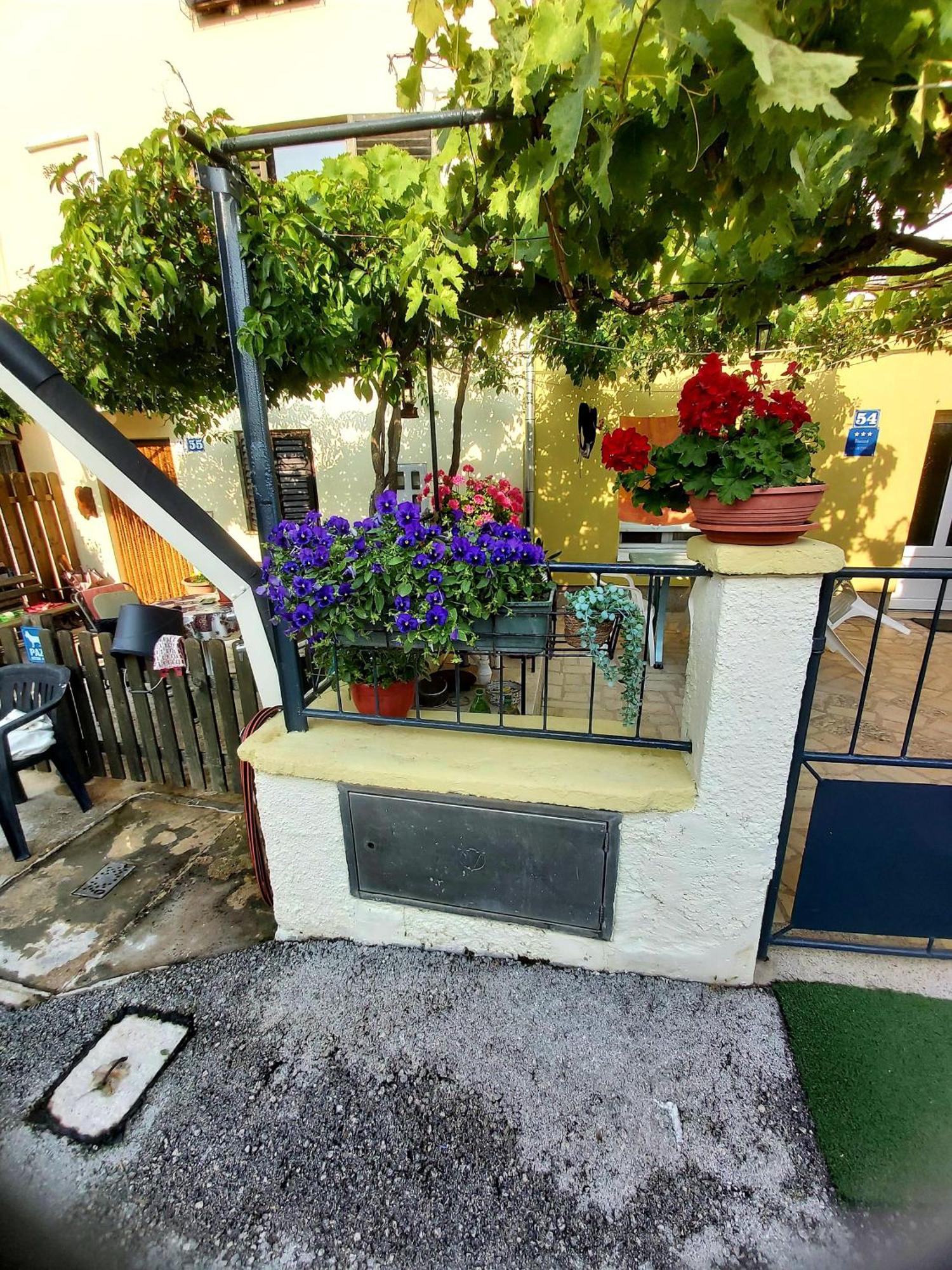 Apartament Marija Pula Zewnętrze zdjęcie