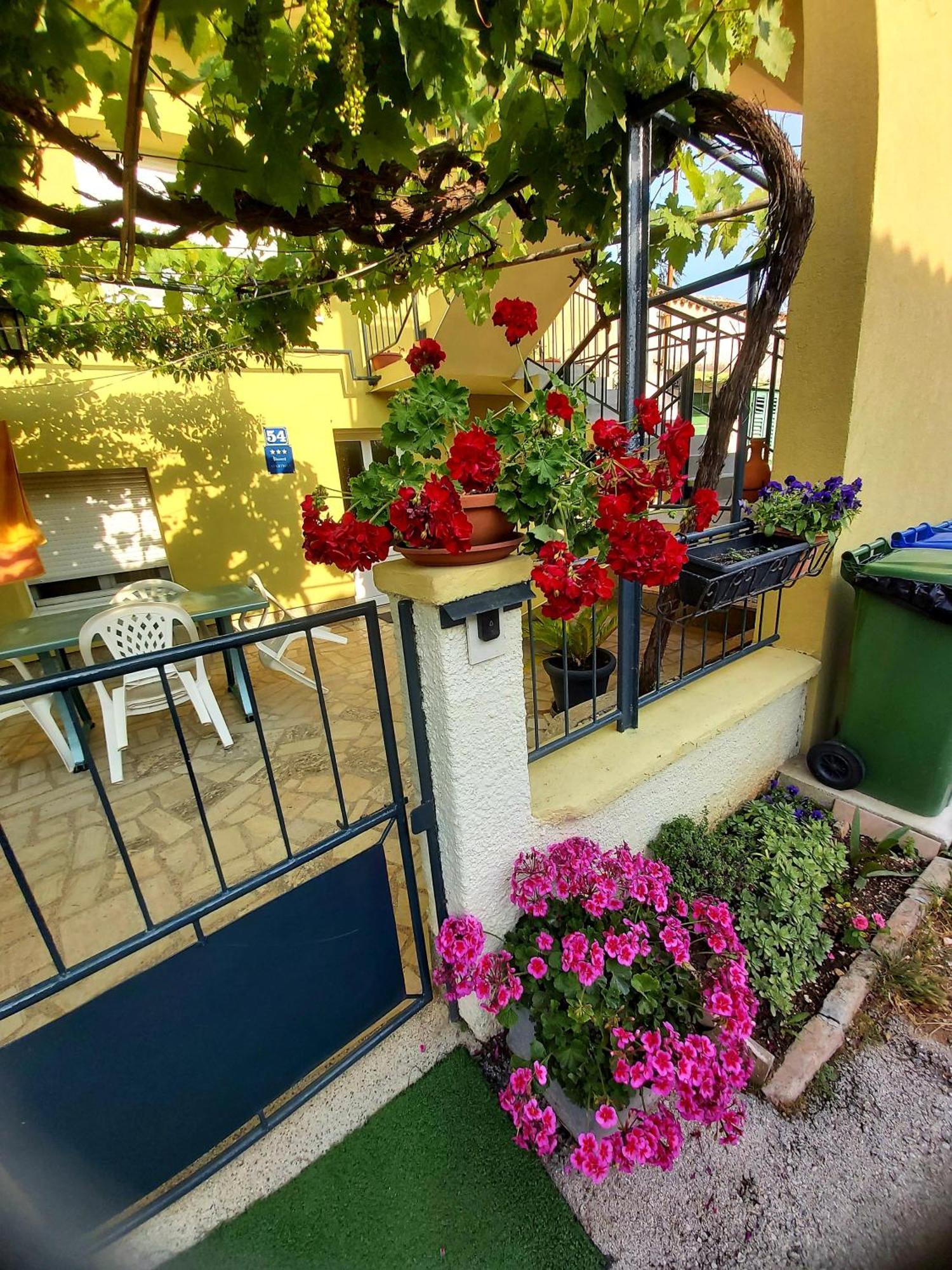 Apartament Marija Pula Zewnętrze zdjęcie