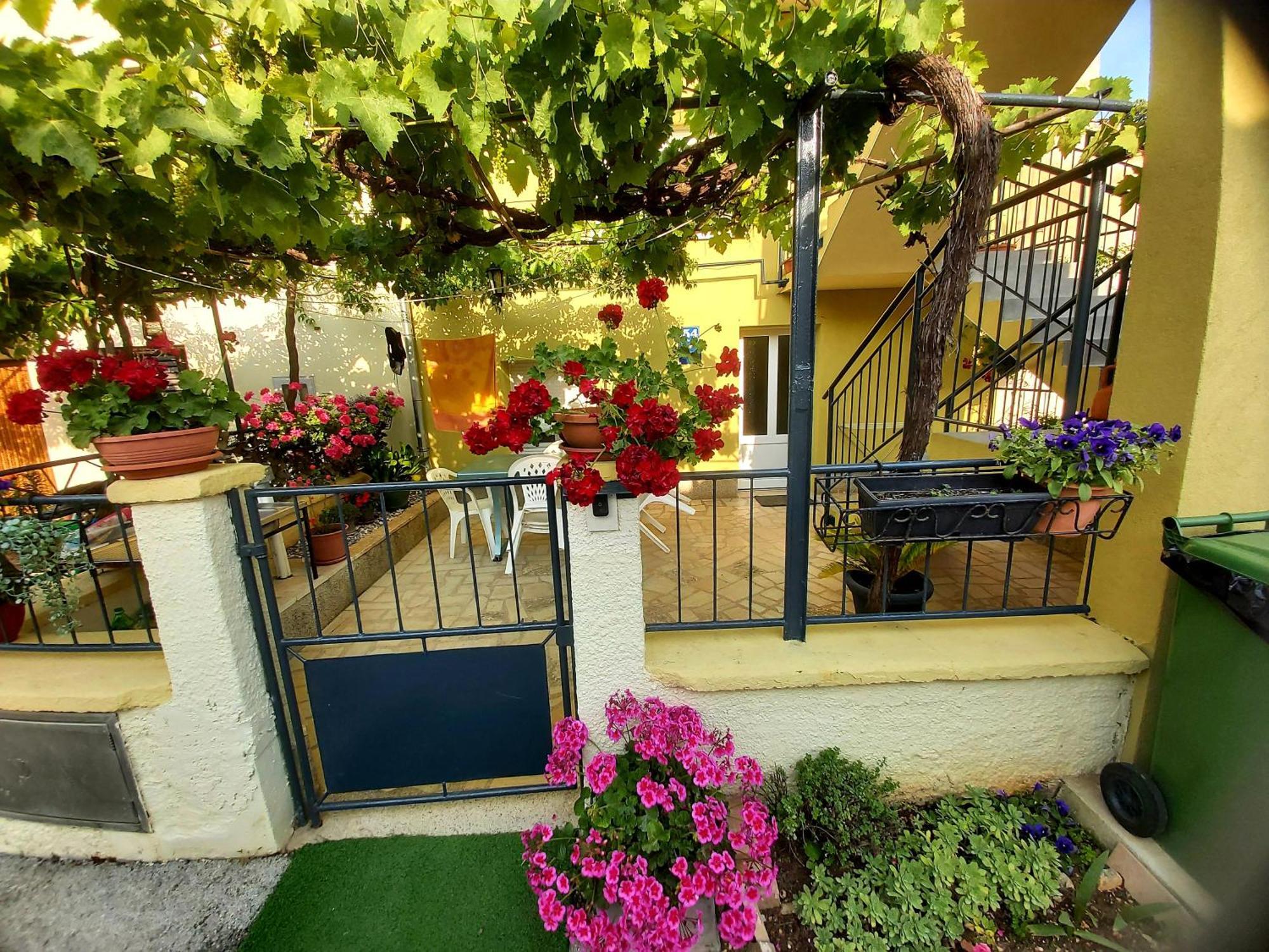 Apartament Marija Pula Zewnętrze zdjęcie